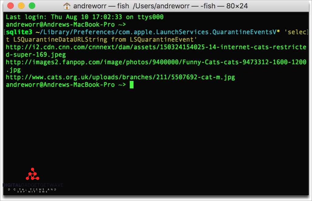 Terminal in Mac OS X
