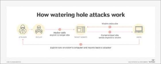 Examples and Case Studies