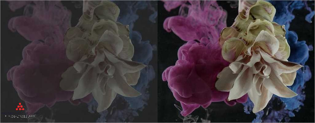 Preservation of Image Quality