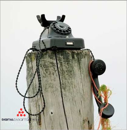 The Evolution of Communication