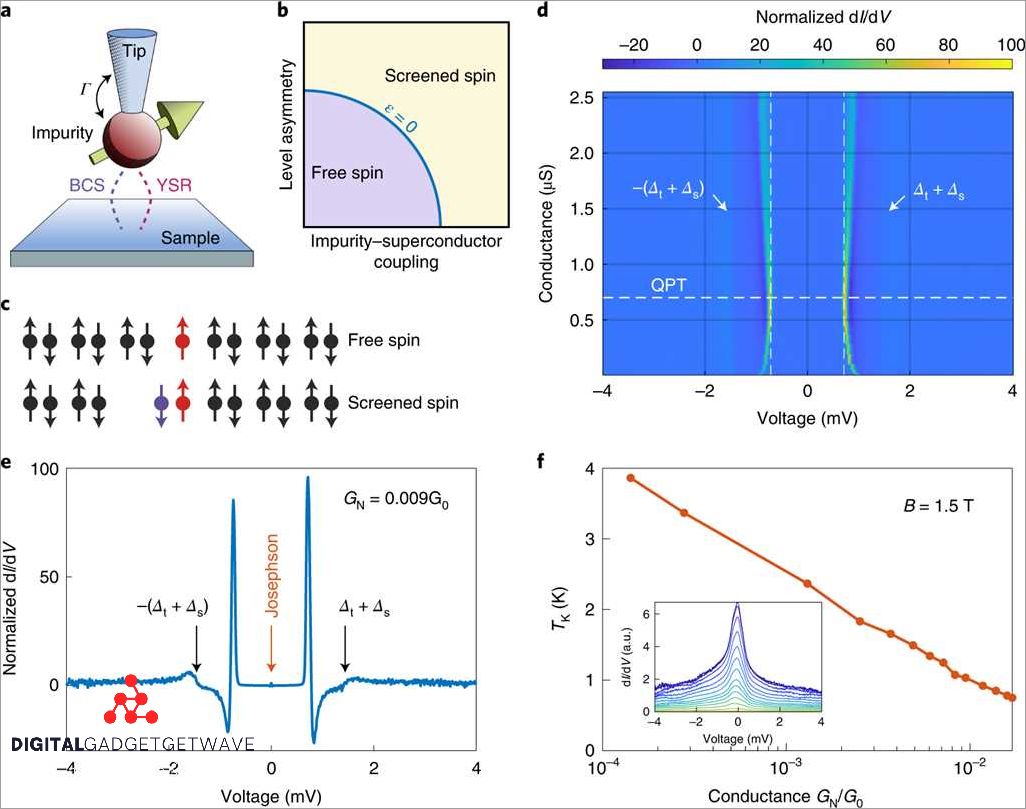 What are Superconducting Quantum Interference Devices (SQUIDs)?