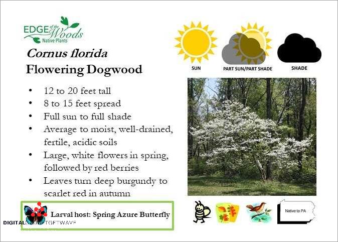 Subsection 2.3: Social Benefits of PA